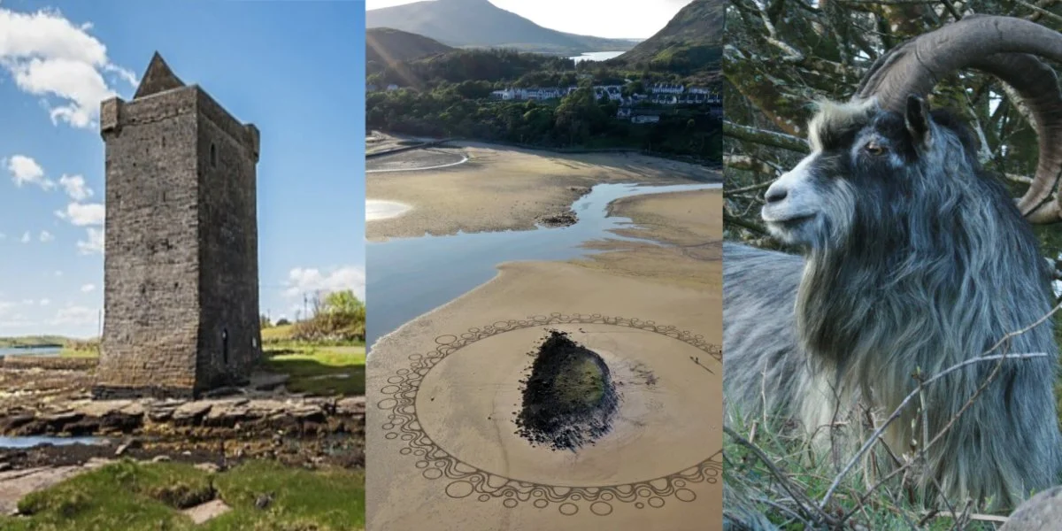 HeatherTrimlettIreland2026.jpg