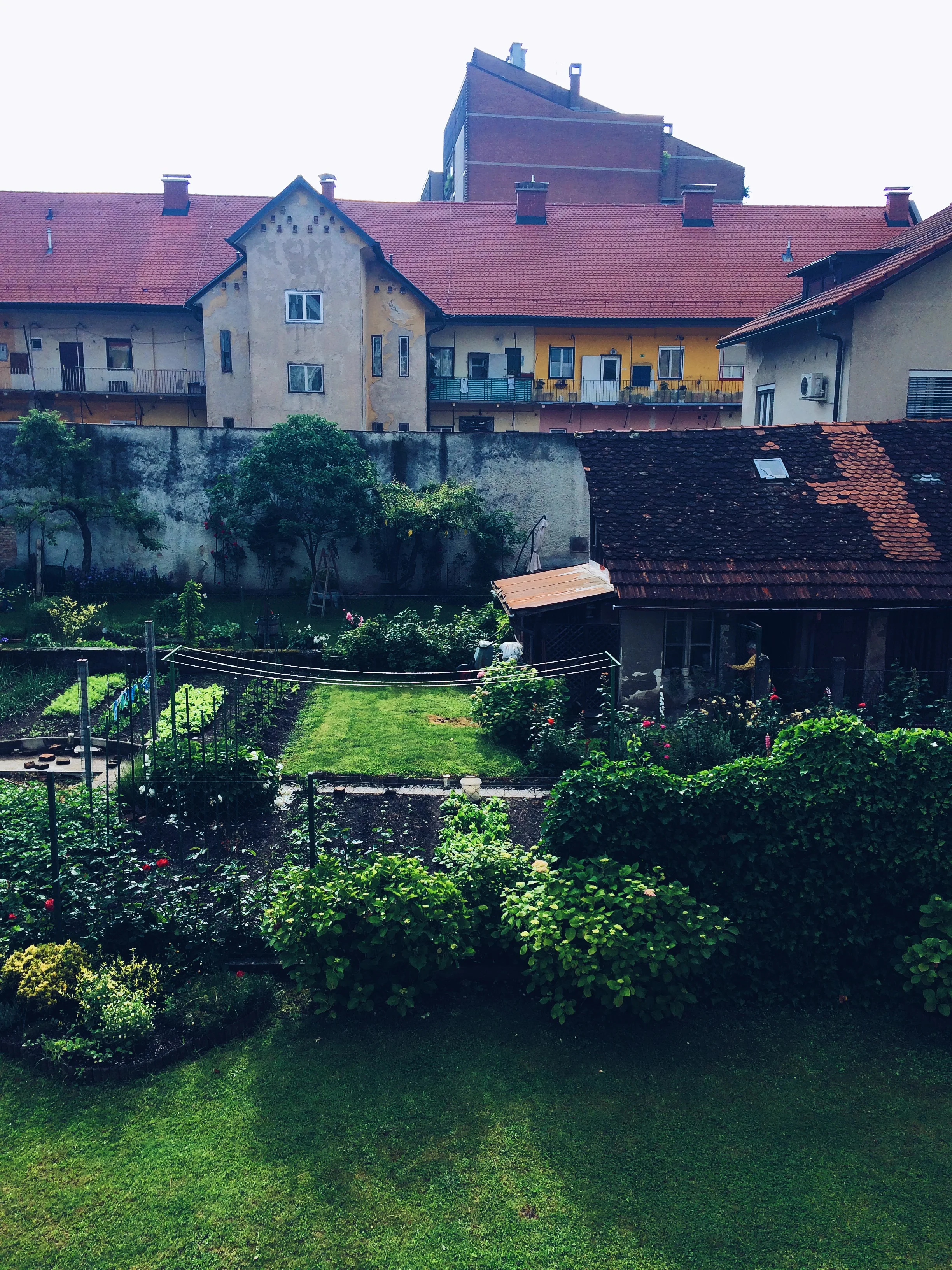Unser Ausblick