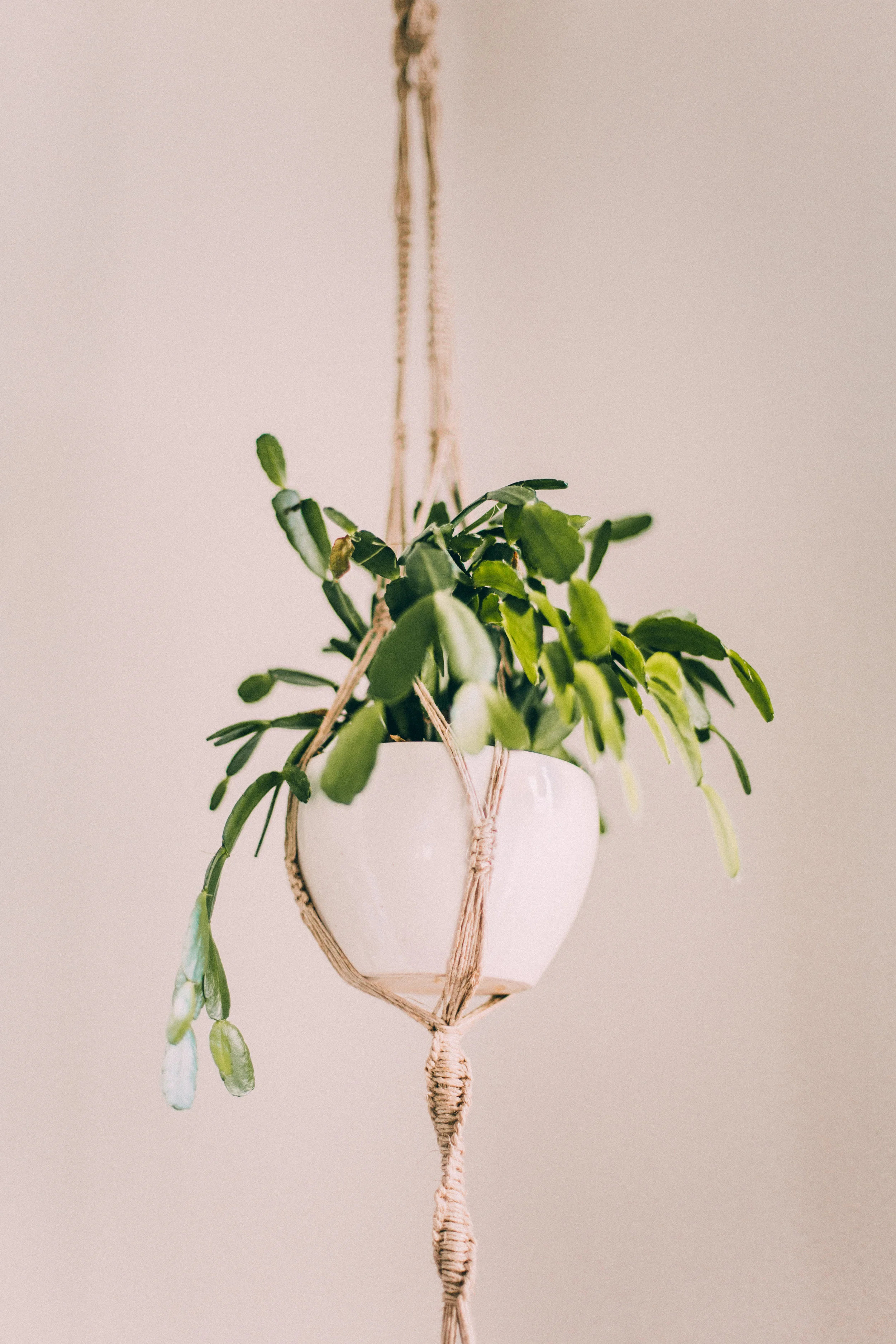 Polkaknot_Macrame_Yana Schicht_Collect Moments_2.jpg