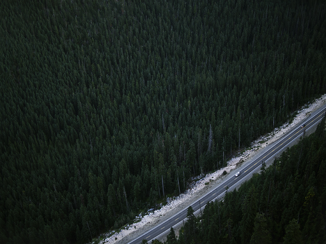 Road_Forest_Aerial_P9240745.jpg