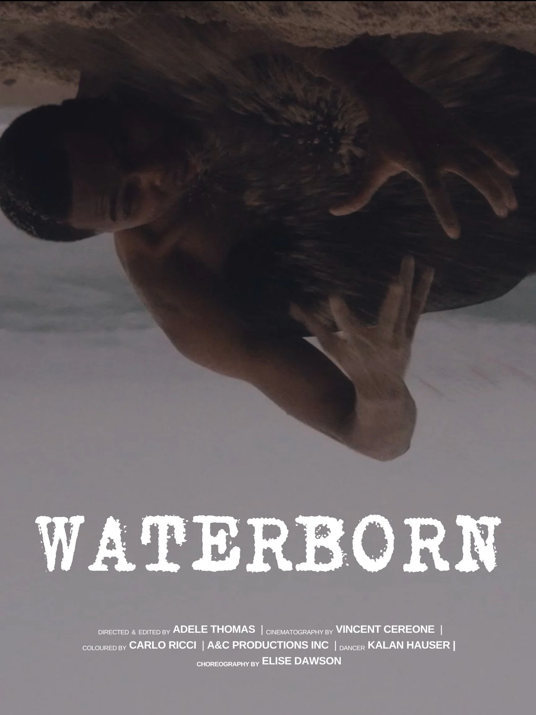WATERBORN POSTER_.jpg