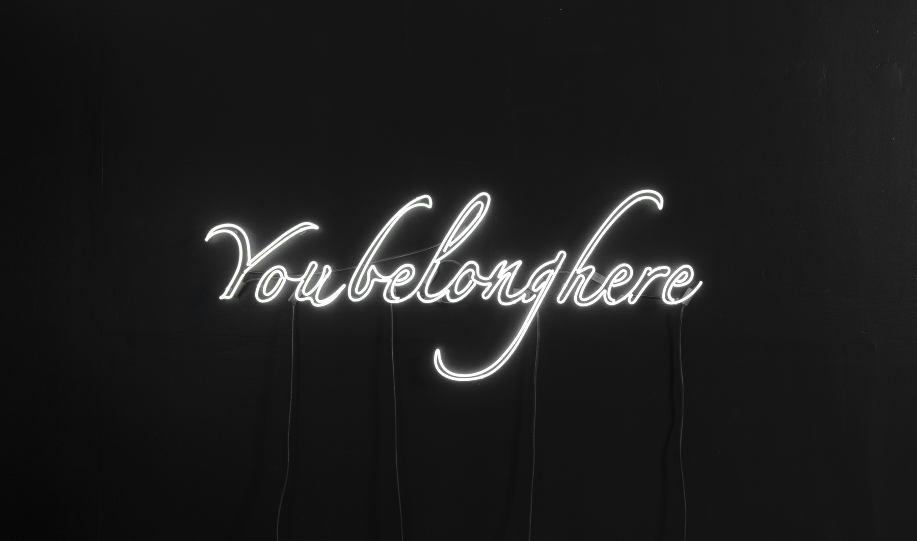   Tavares Strachan   You Belong Here,&nbsp; 2012 white neon, transformers 24 x 60 x 0.35 inches 