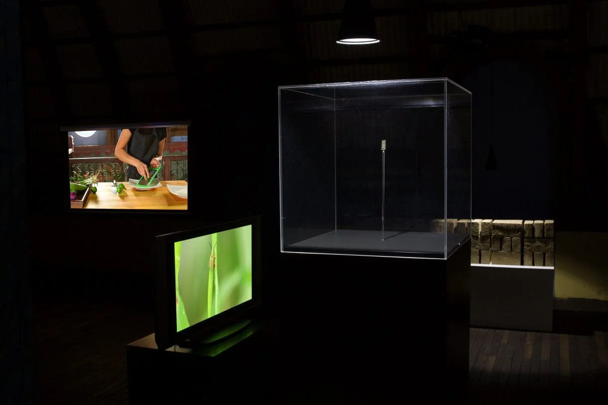 Richard Ibghy and Marilou Lemmens, The Golden USB, 2014-ongoing. multi-media installation.