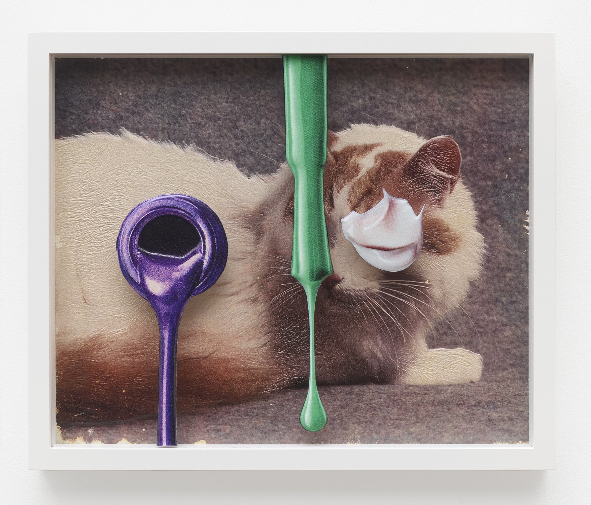   Teppei Kaneuji   Sea and Pus (Photograph of Cat) #8  , 2022. UV inkjet print (StareReap 2.5 print) on acrylic board, polycarbonate, 10 x 12 inches. Edition 3/7 + 2 AP 