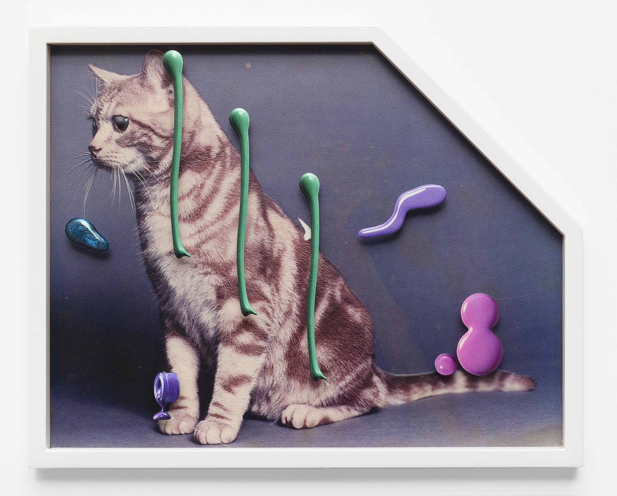   Teppei Kaneuji   Sea and Pus (Photograph of Cat) #12 , 2022. UV inkjet print (StareReap 2.5 print) on acrylic board, polycarbonate, 17.5 x 22 inches. Edition 3/7 + 2 AP. 