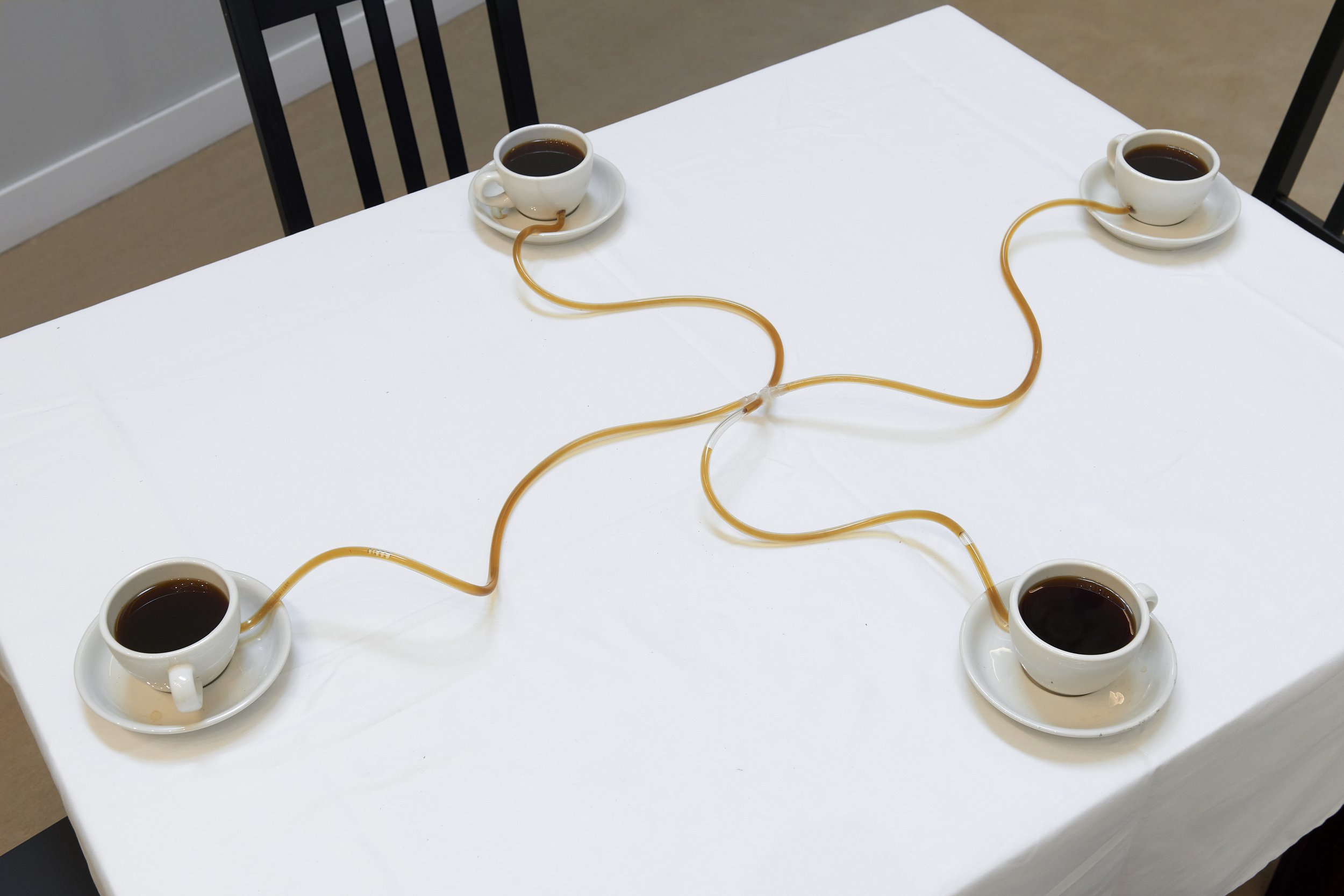   Allan Wexler,   Coffee Seeks Its Own Level , 1990. Coffee cups, vinyl tubing, fabric, table, 48 x 36 x 30 H. 