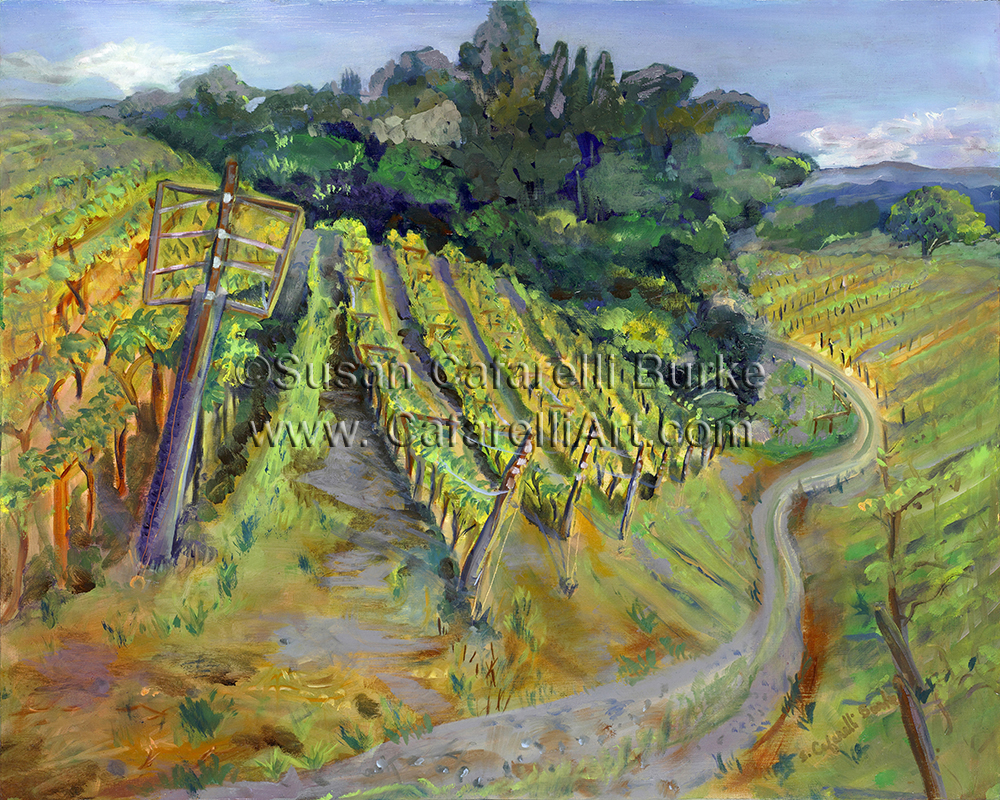 Bargetto Vineyard in Spring