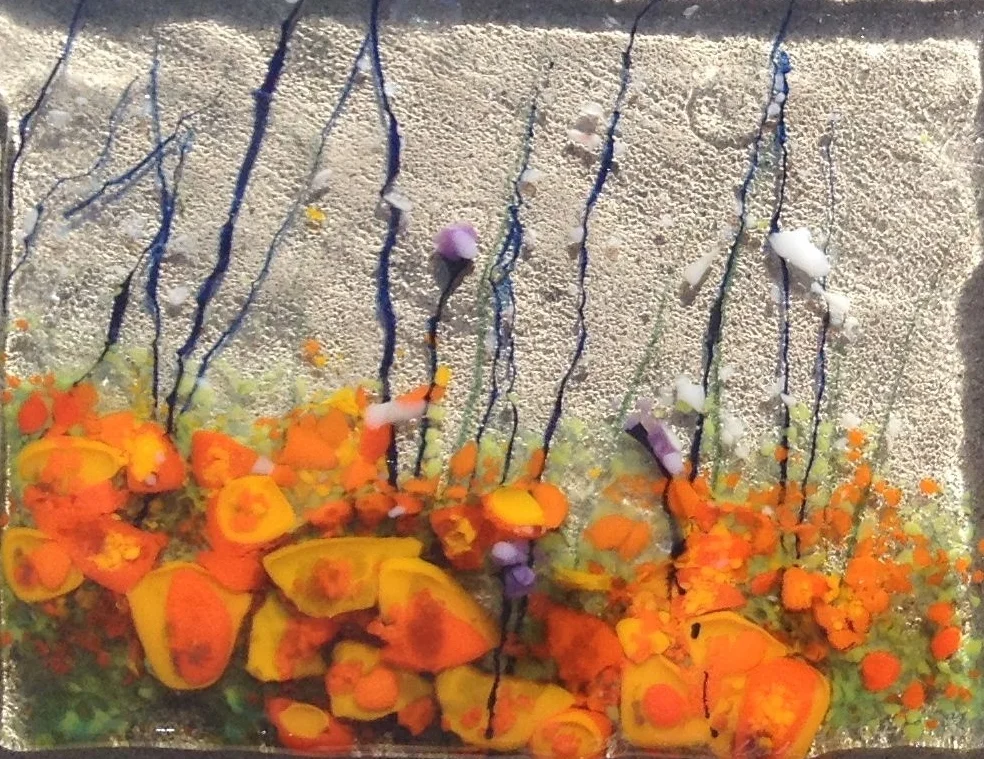  Wind-blown Poppy Field 