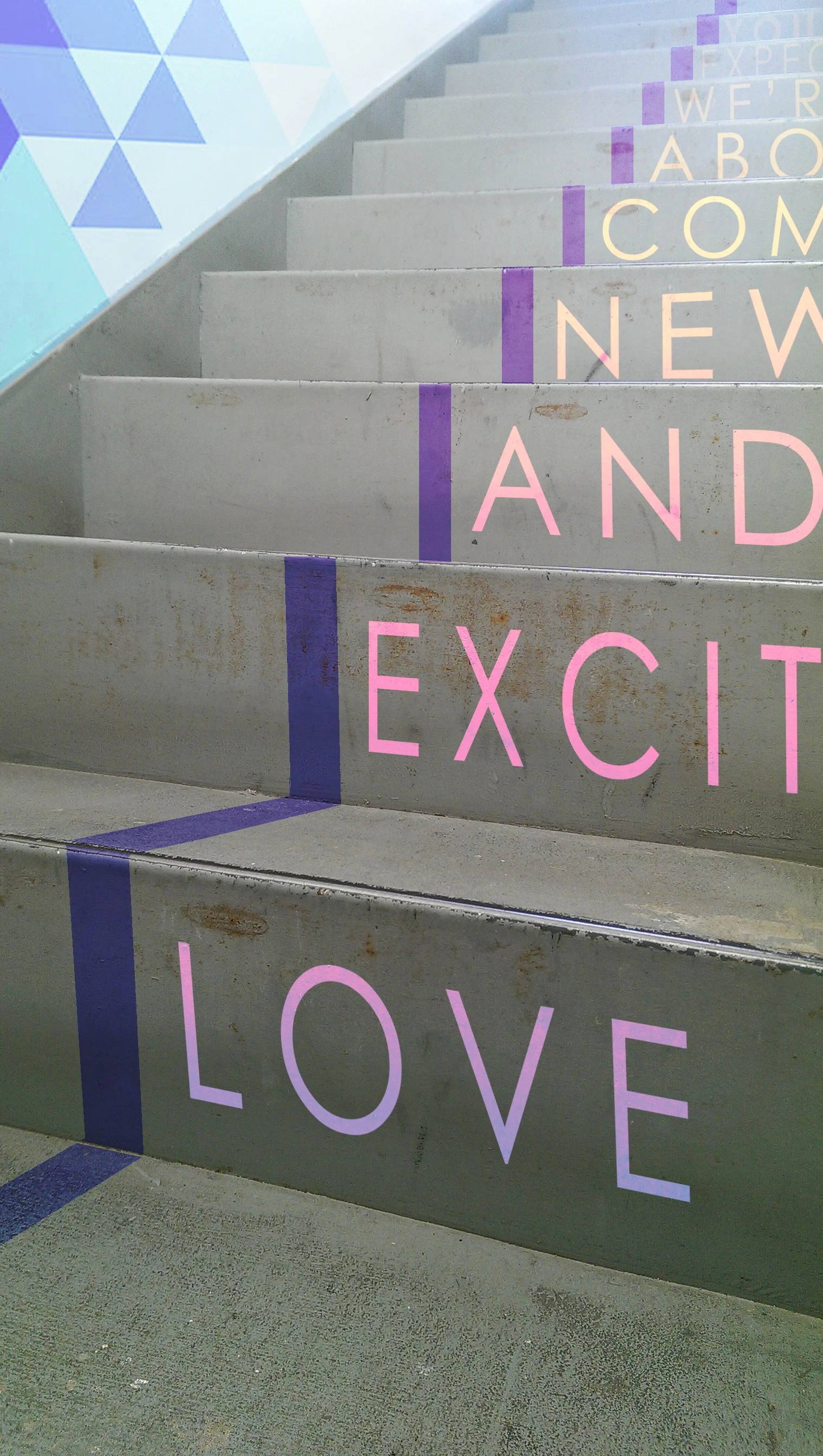 STEPS.jpg