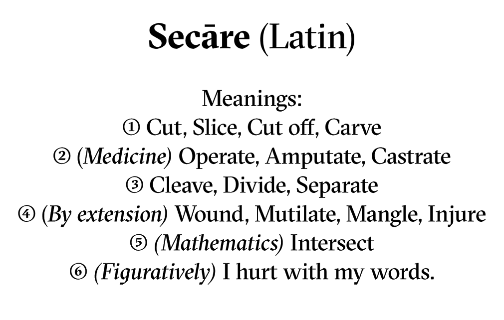 Sectra-2.png