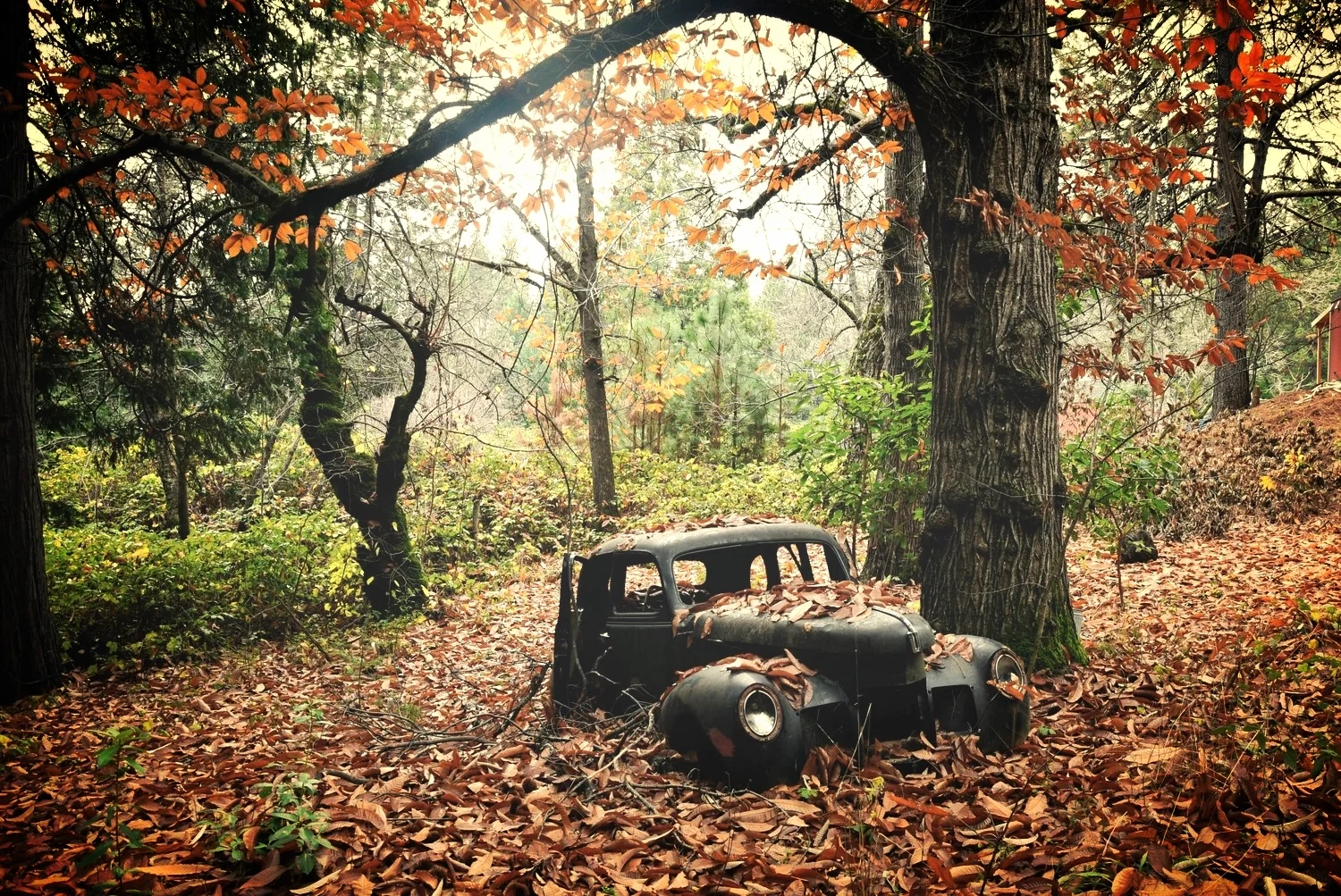 DSC_0121 - Version 2.JPG