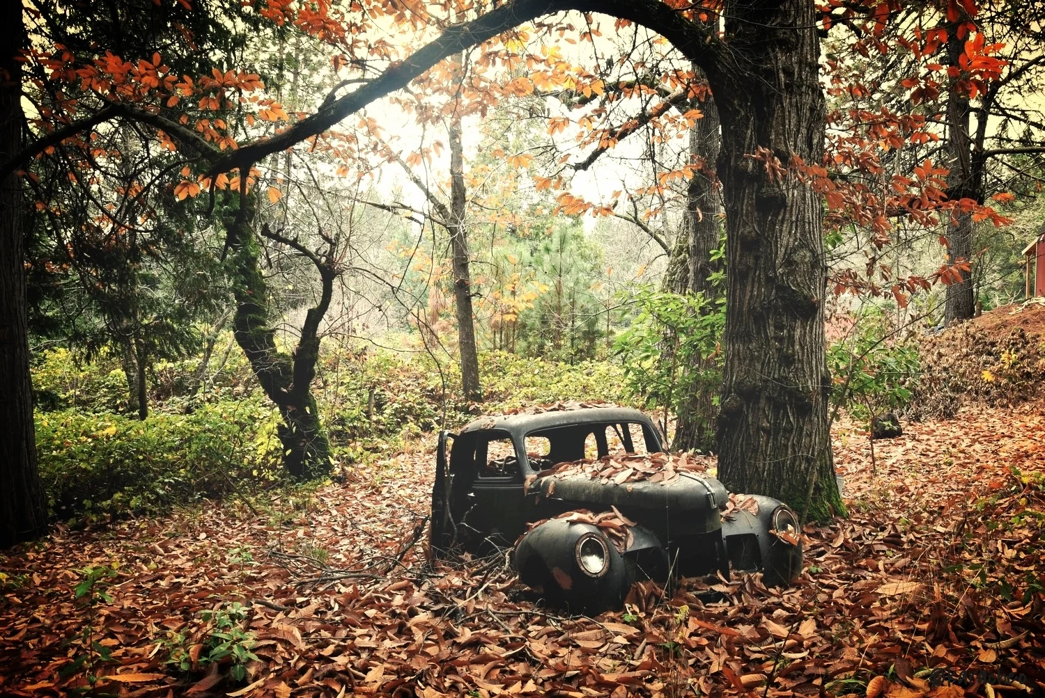 DSC_0121 - Version 2.JPG