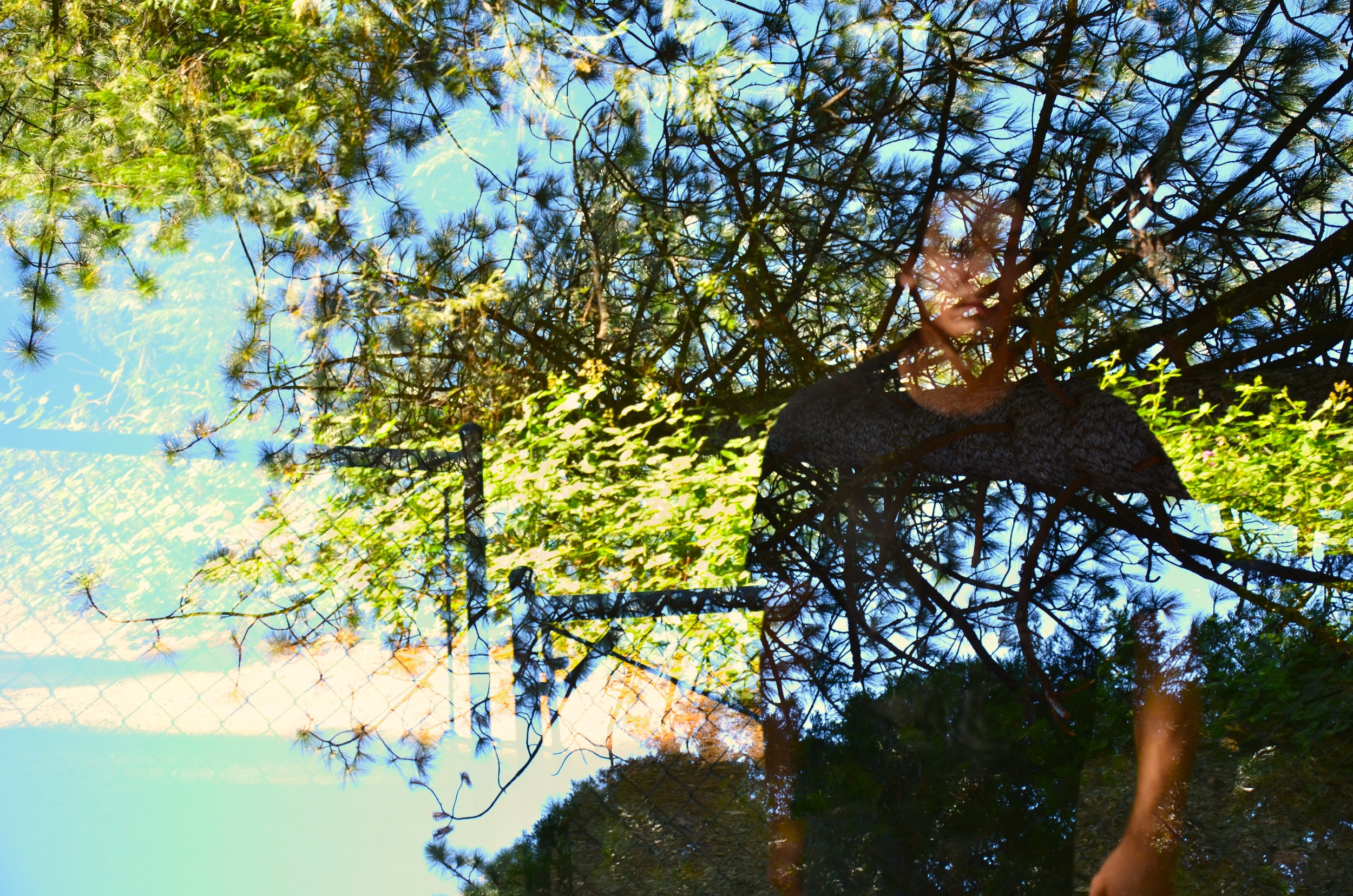  *Double exposure 