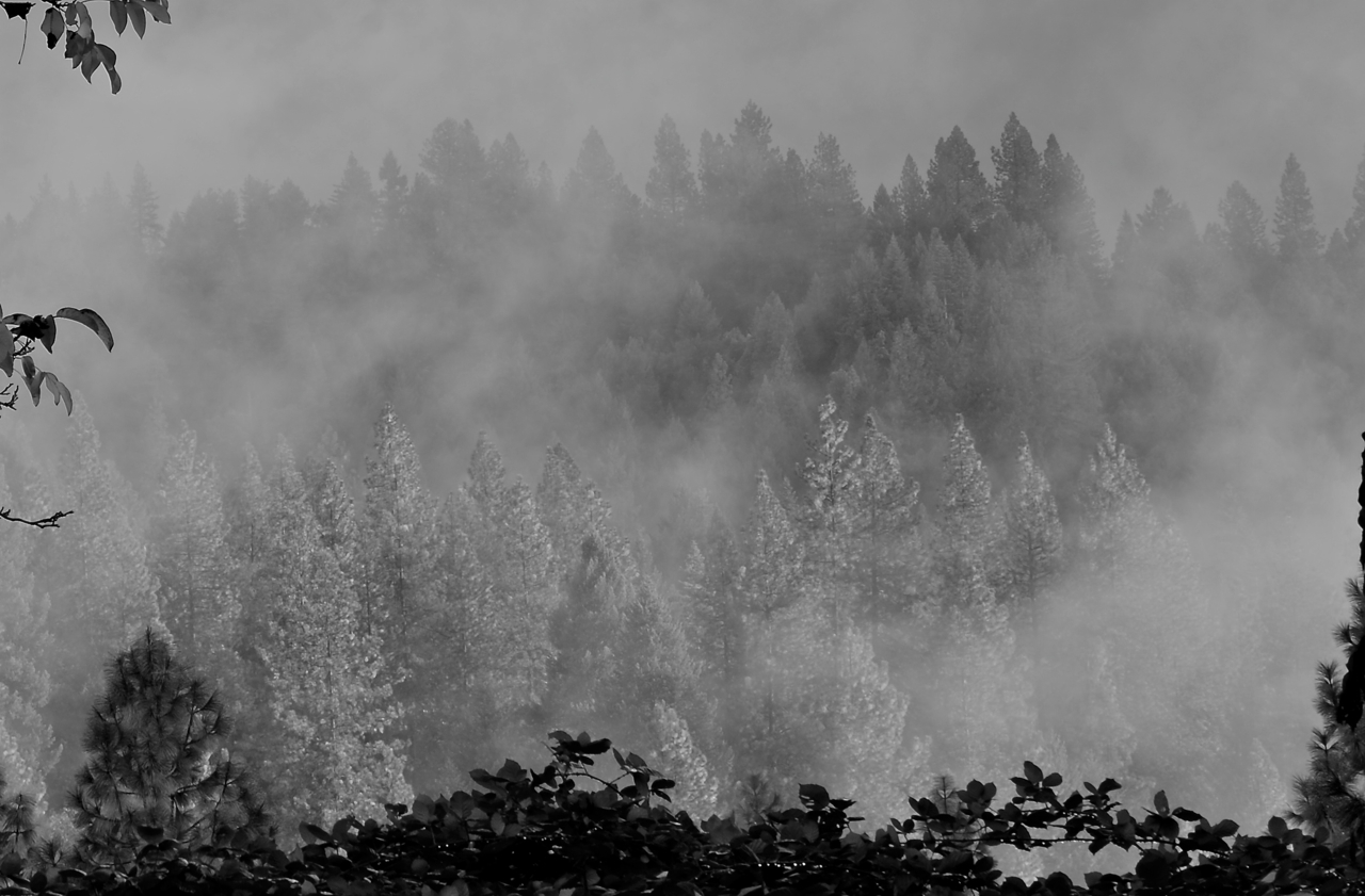 *tahoe memories*