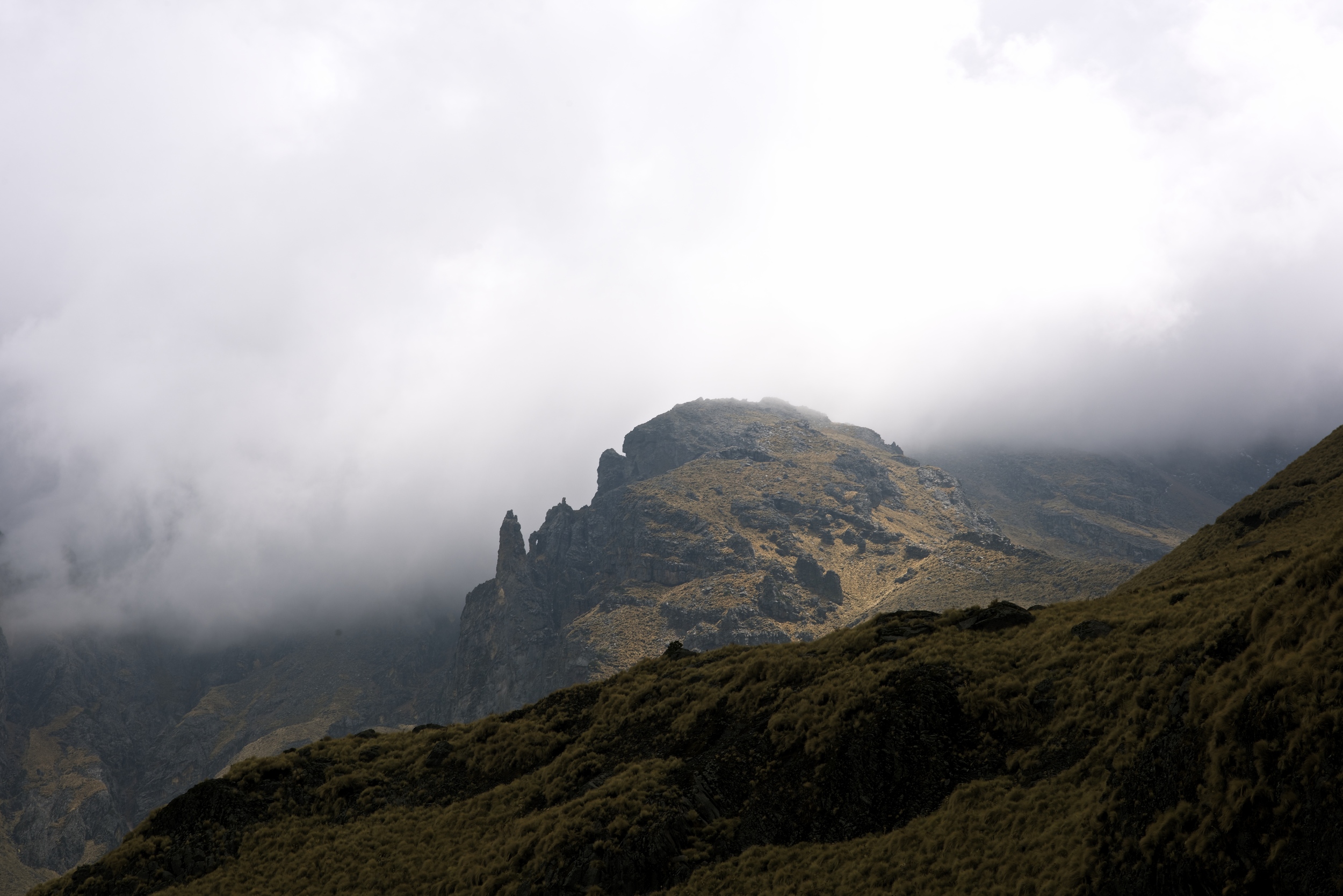 DSC_9402 - Version 2.jpg
