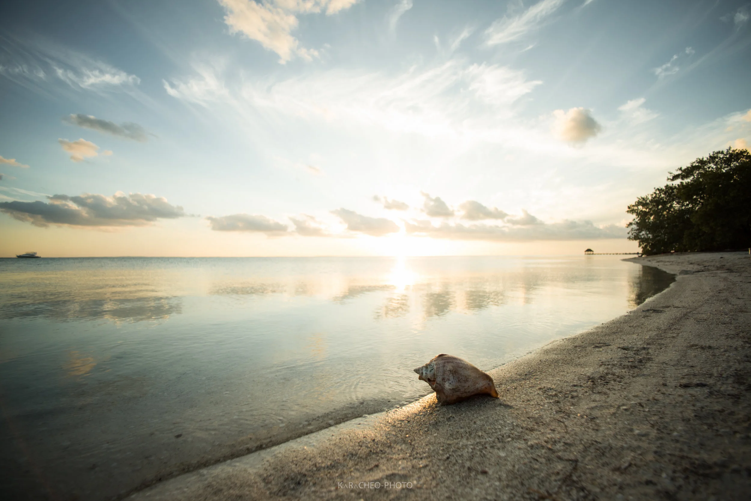 ⦁The beauty of now⦁
