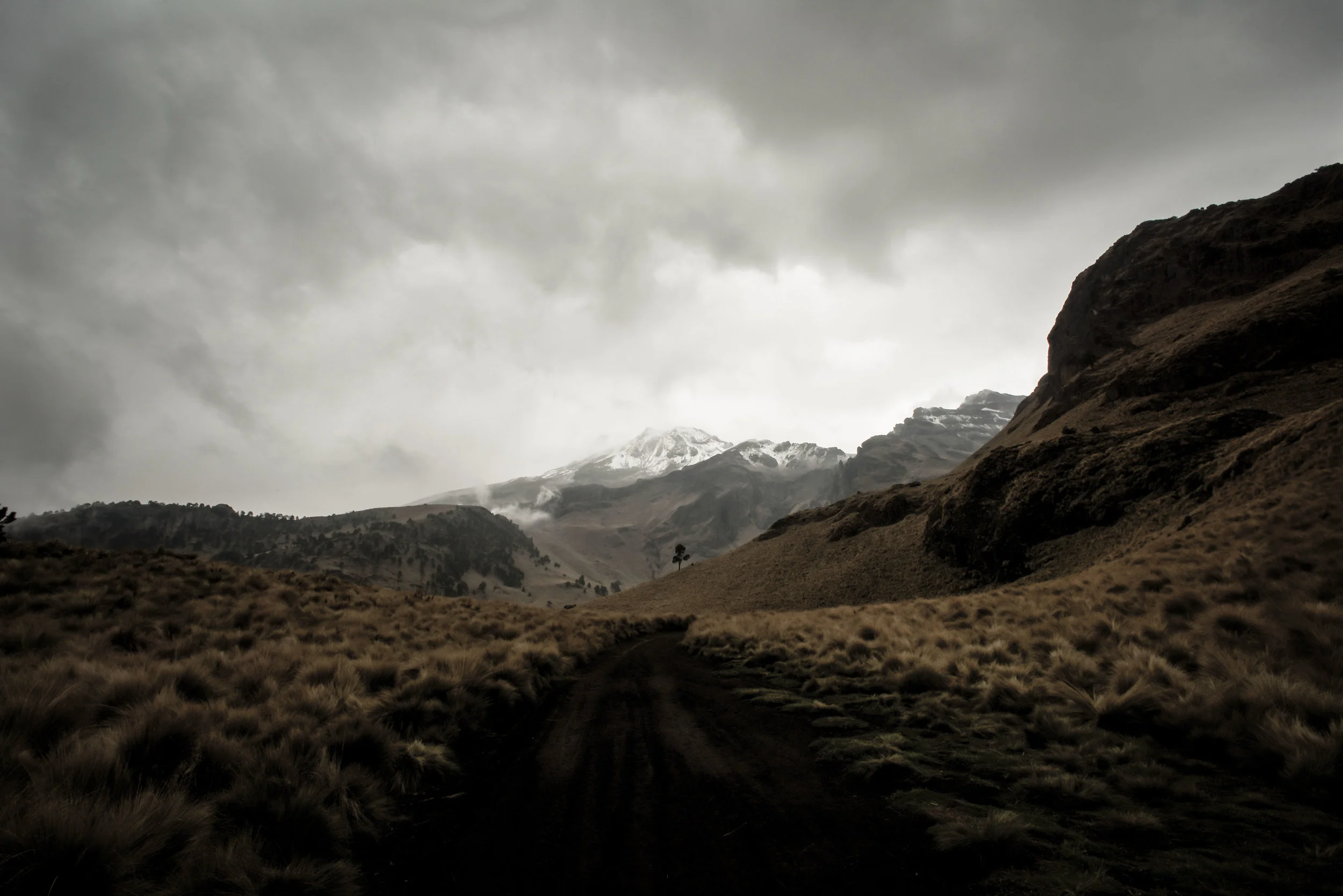DSC_9415 - Version 2.jpg