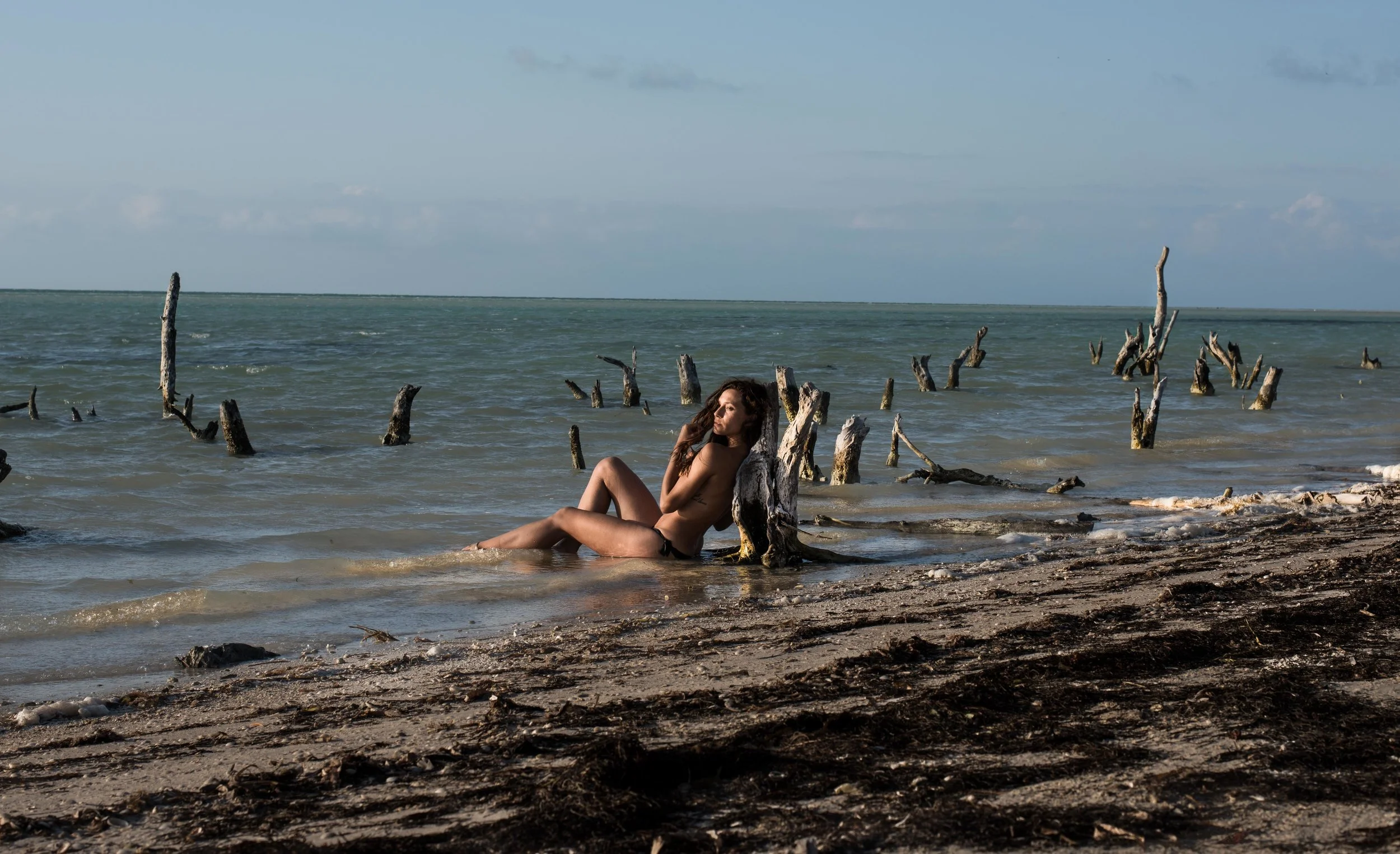 ⦁Raices en el mar⦁