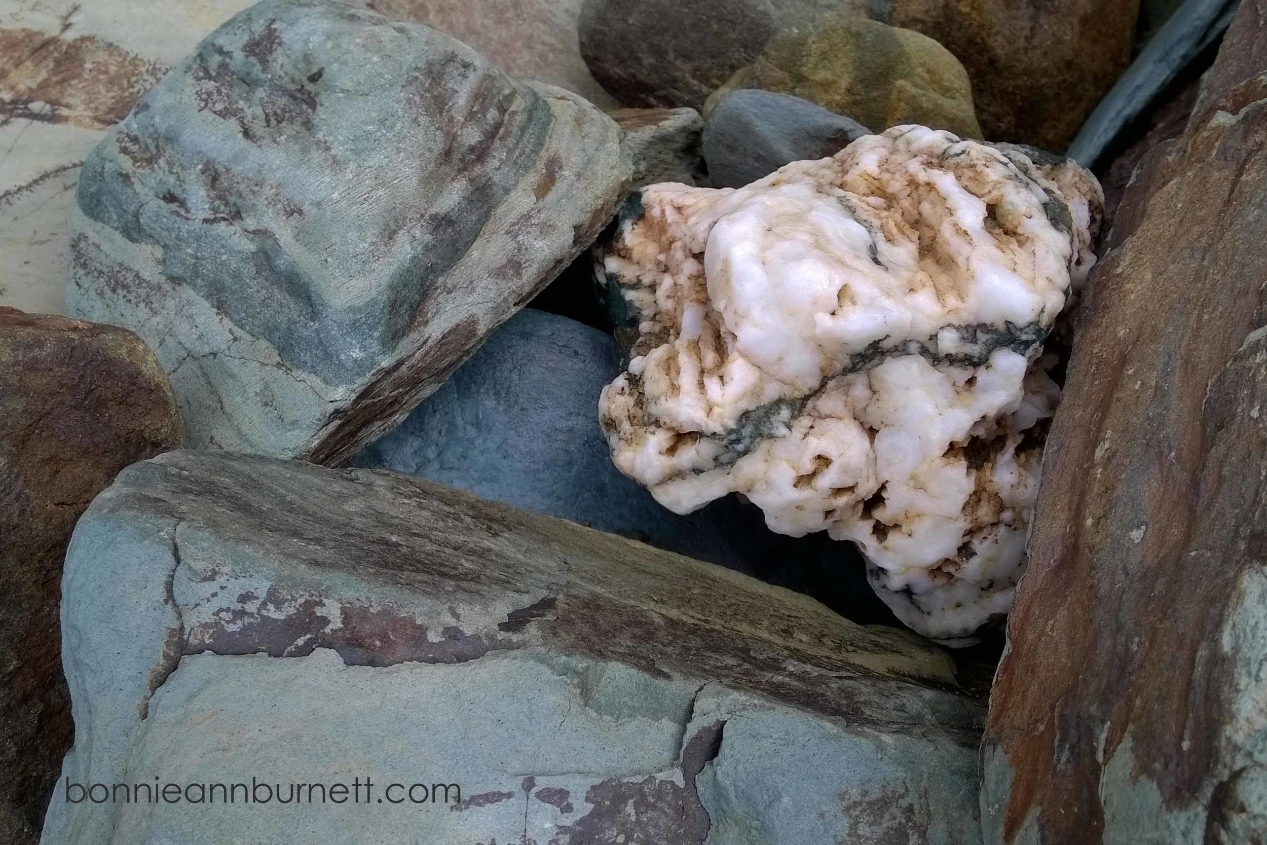 Quartz Nestled in Slate