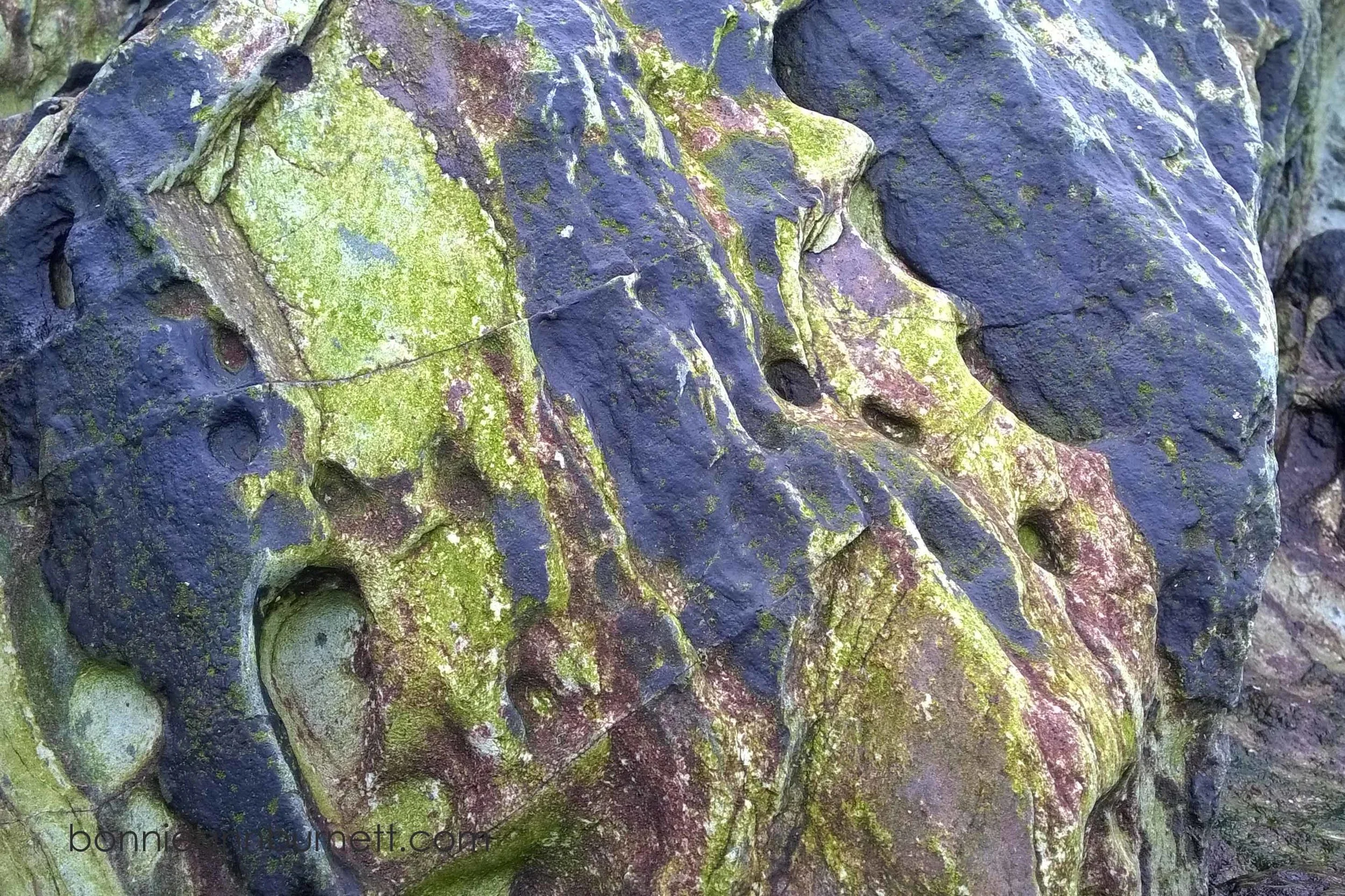 Black and Green