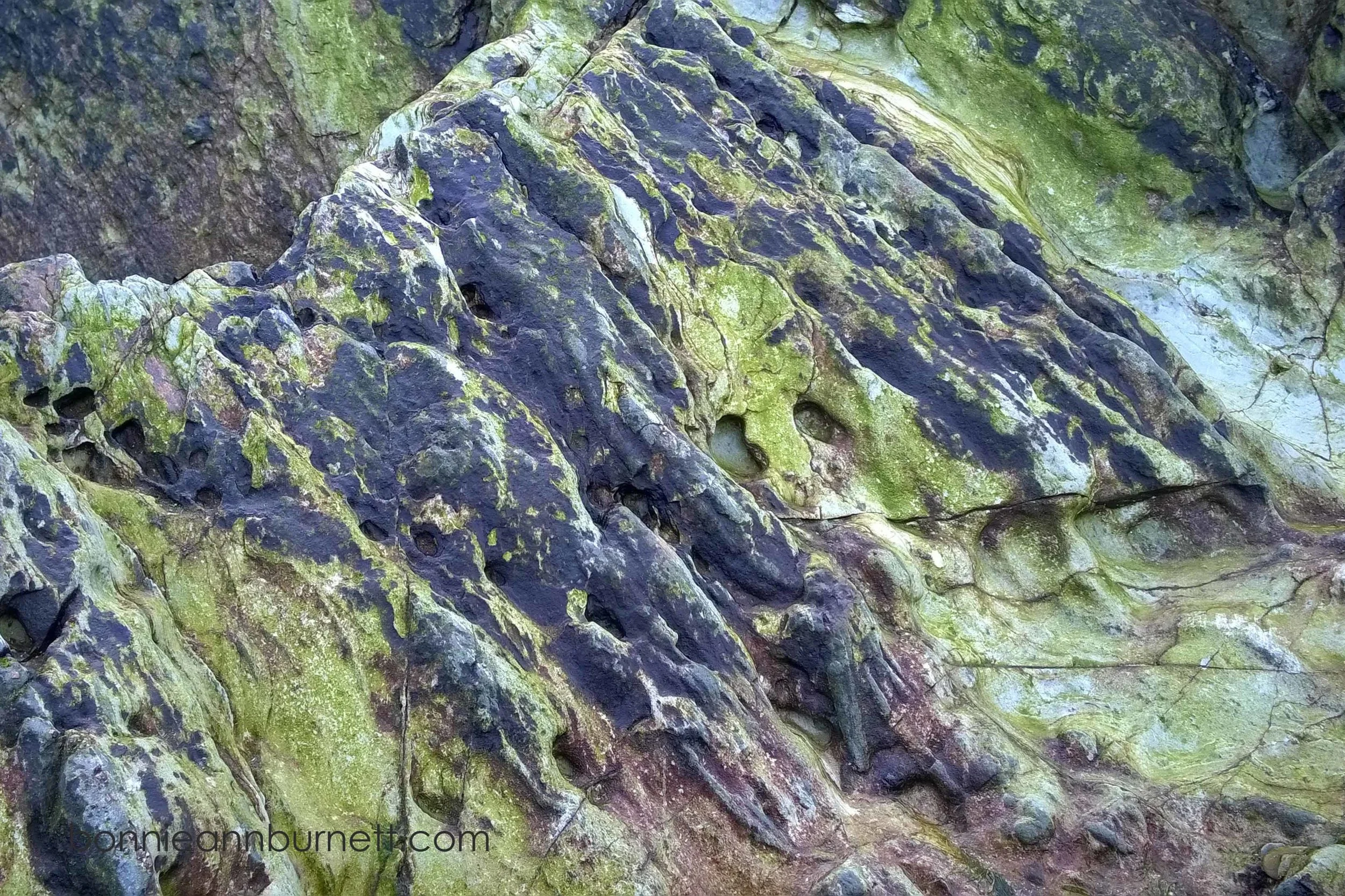 Faery Ridge