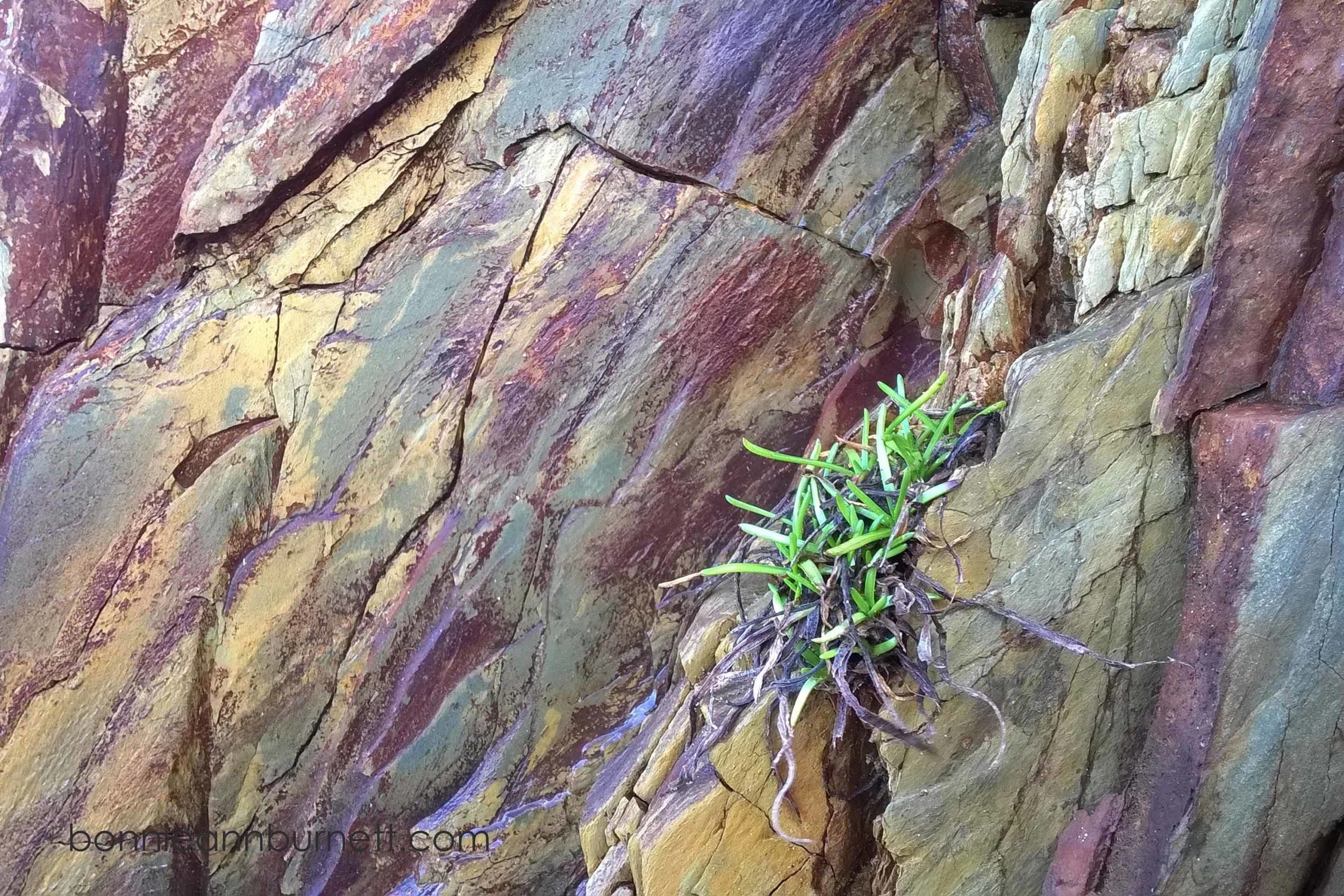 Foothold