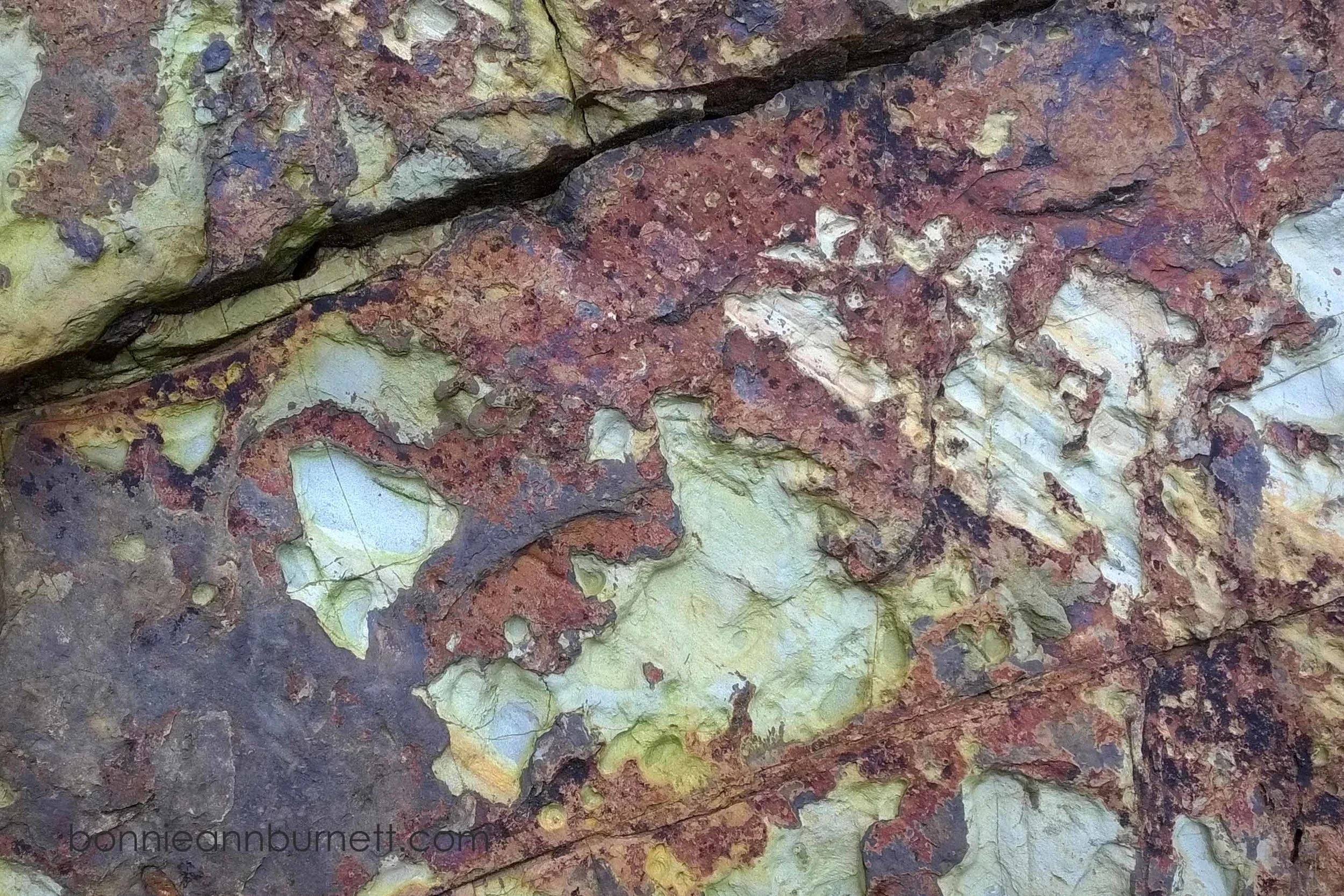 rust 16x20 1500.jpg