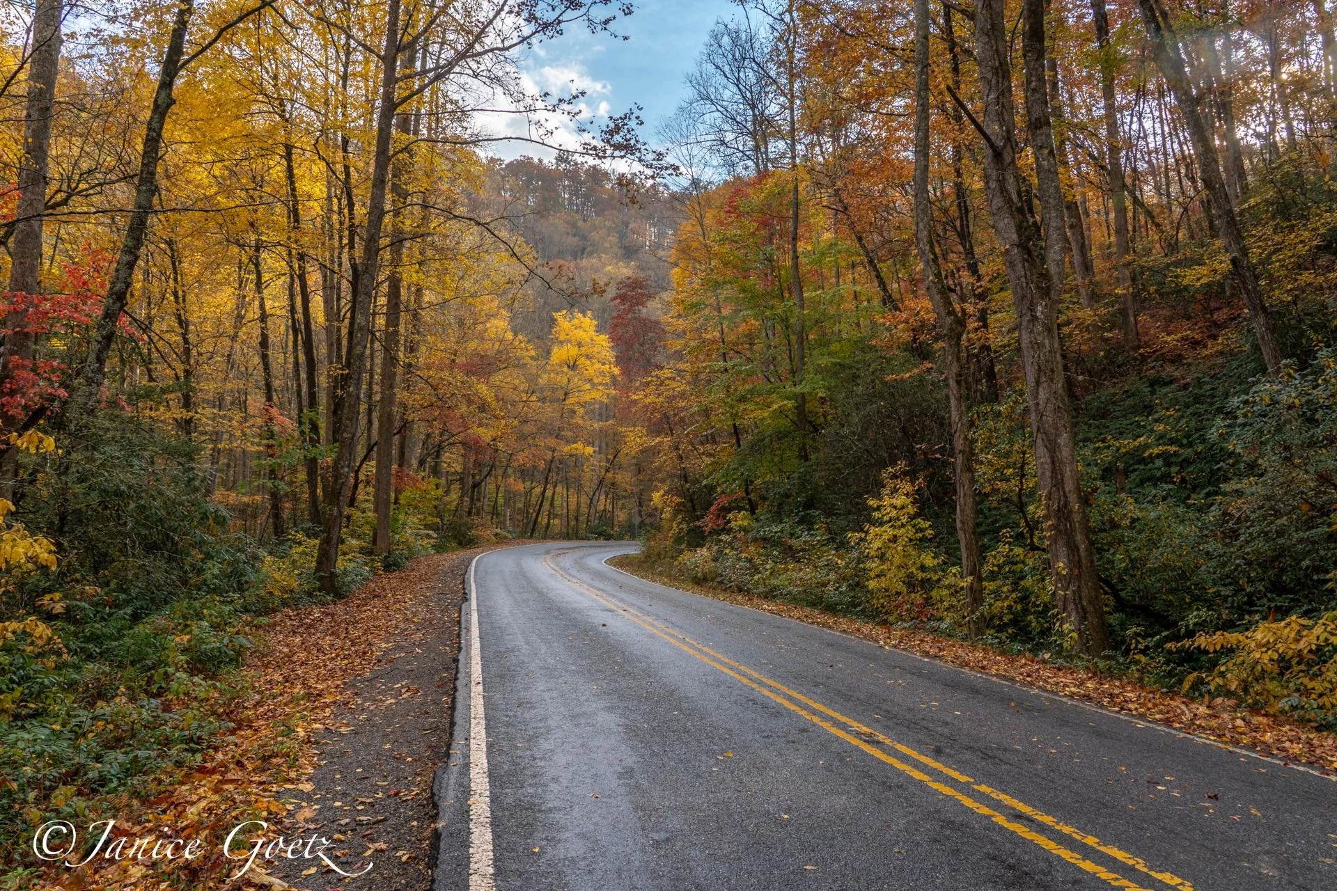 Photo by: Janice Goetz