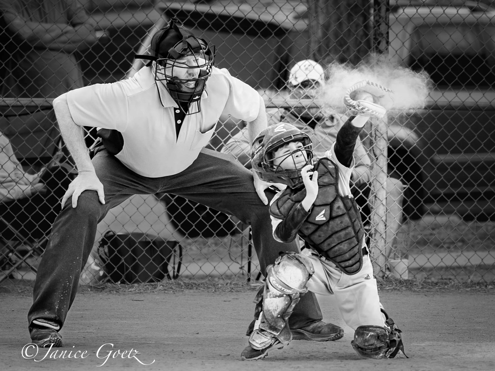 Photo by:  Janice Goetz