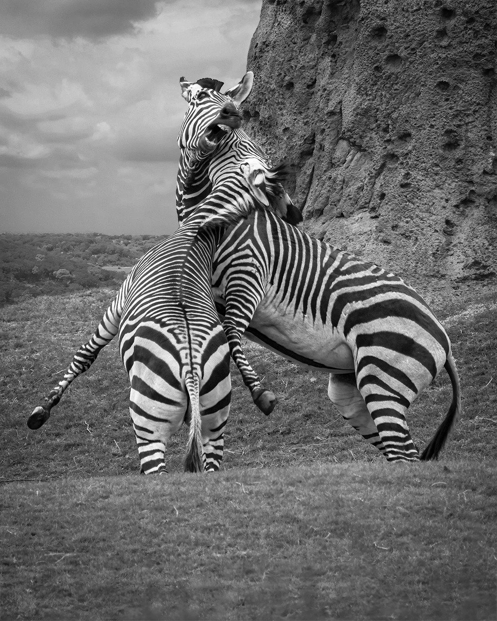 Photo by: Phil Wirth