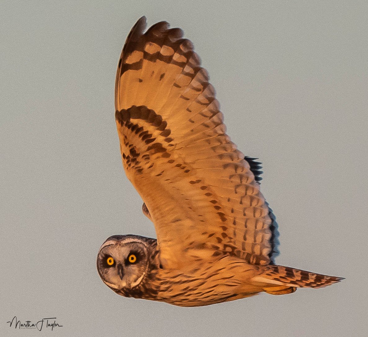 Photo by: Martha Taylor