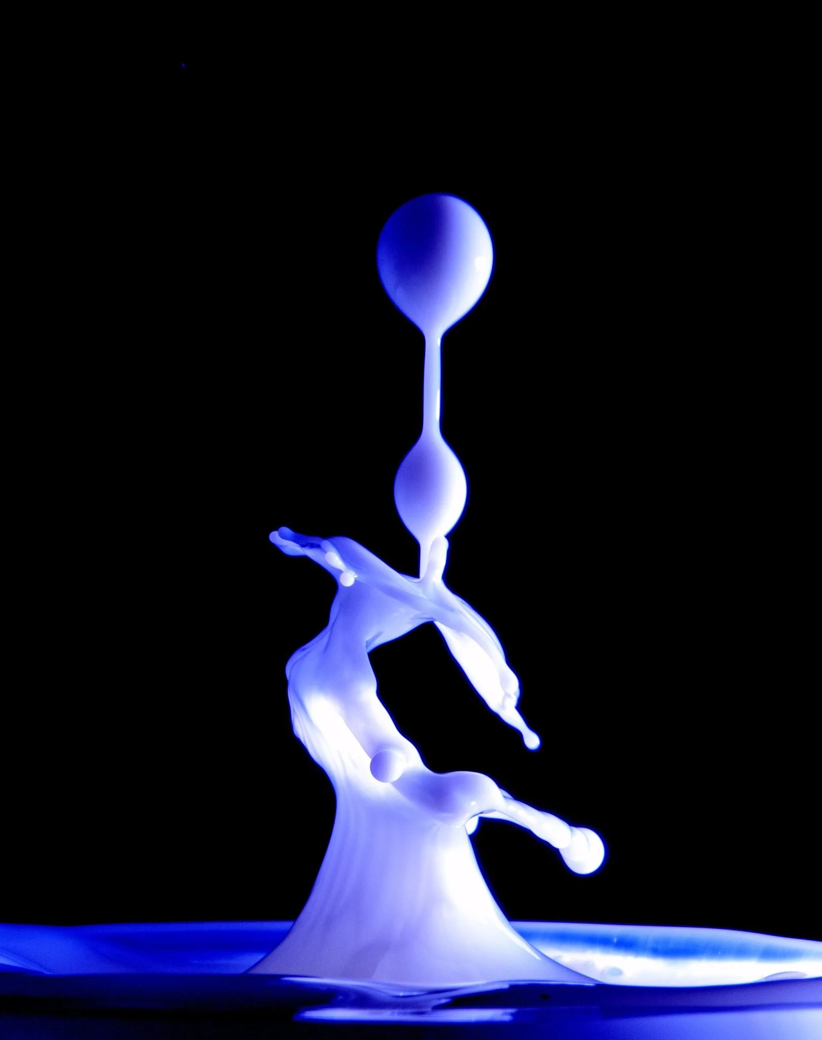 Photo by: Greg Wilkins