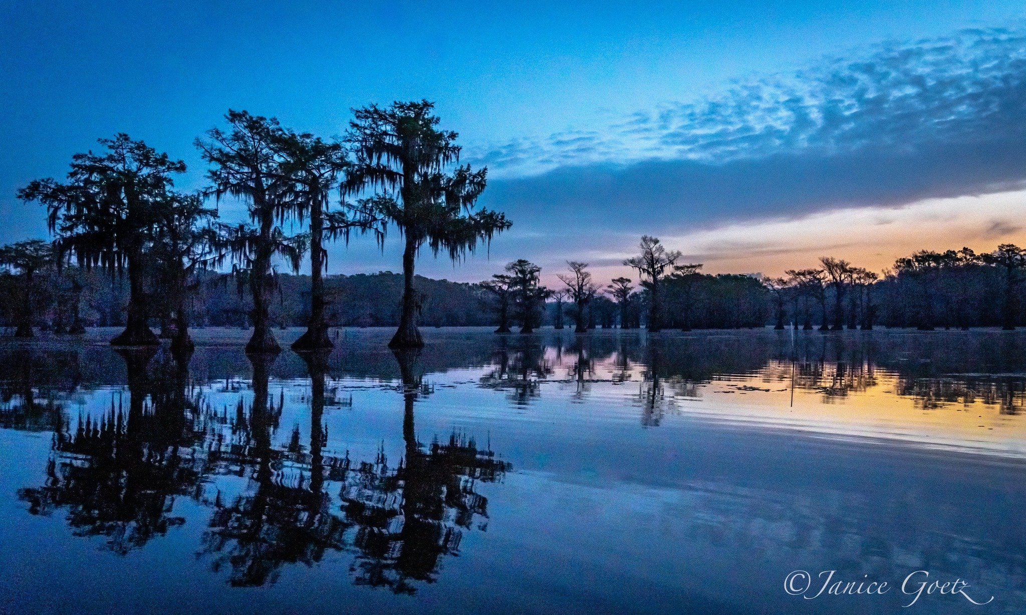 Photo by: Janice Goetz