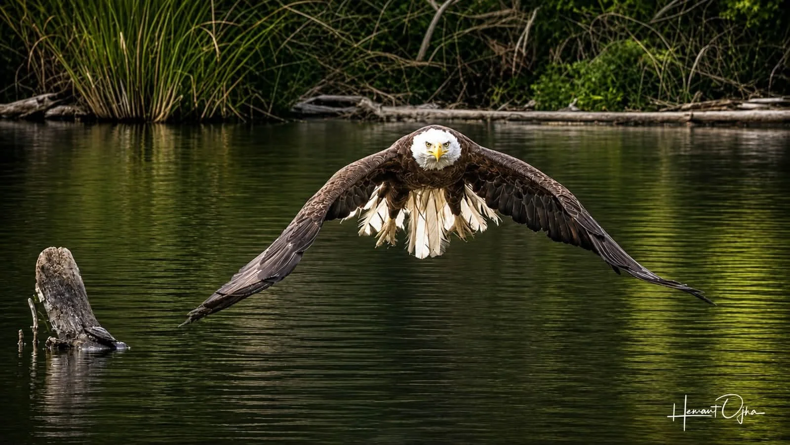 Photo by: Hemant Ojha