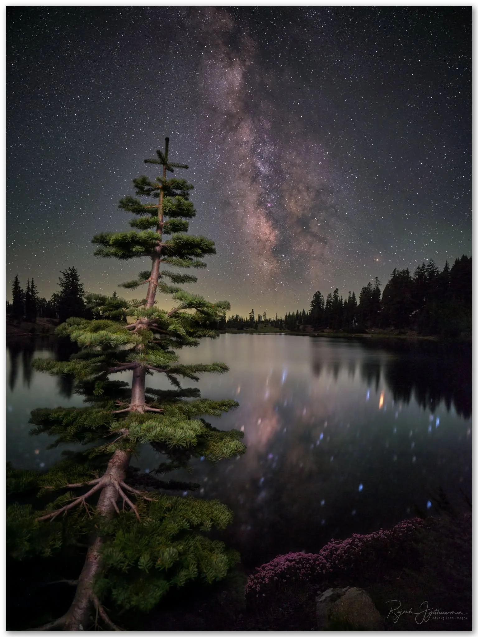 Photo by: Rajesh Jyothiswaran