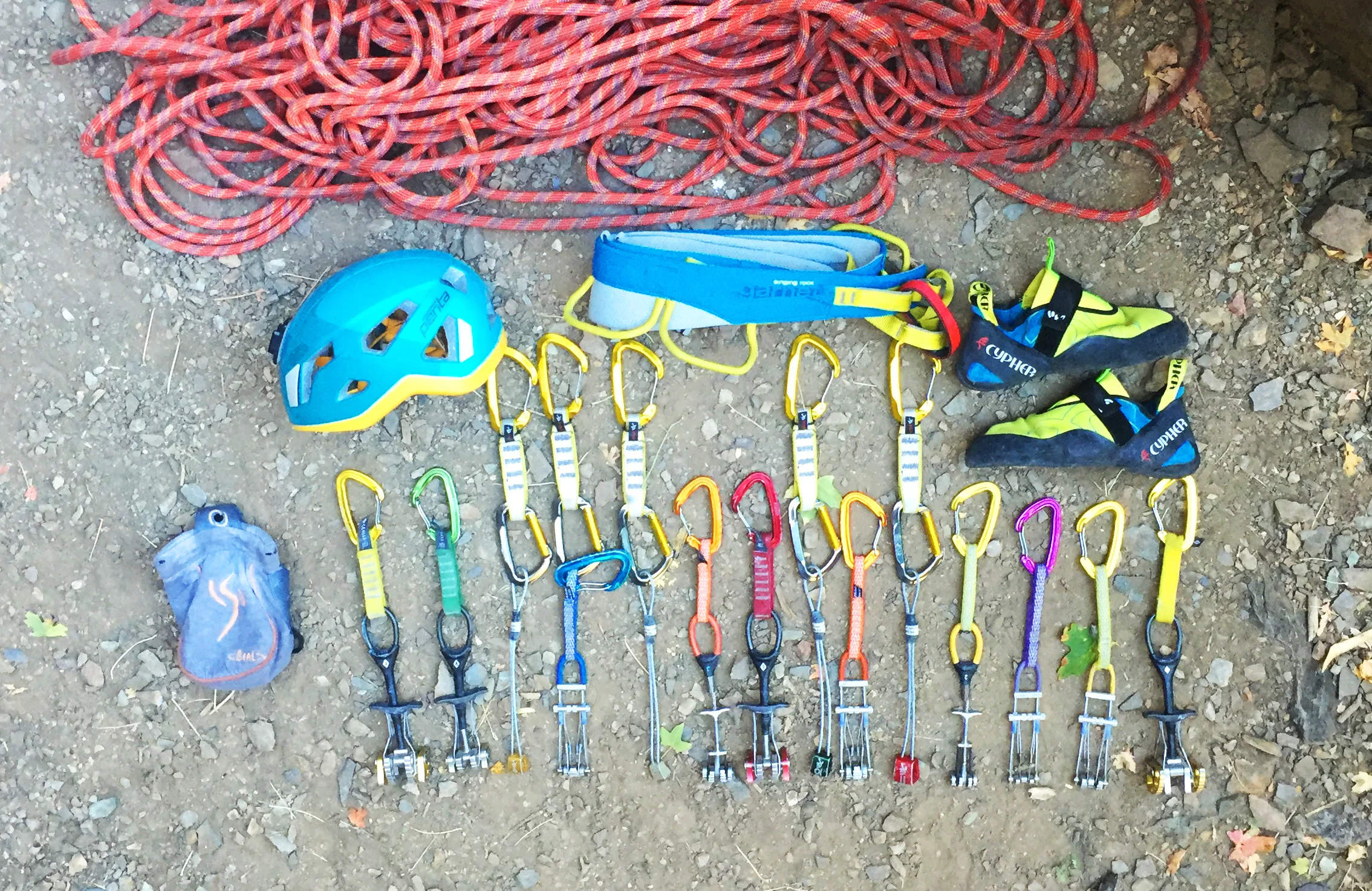 Enduring The Little Creatures