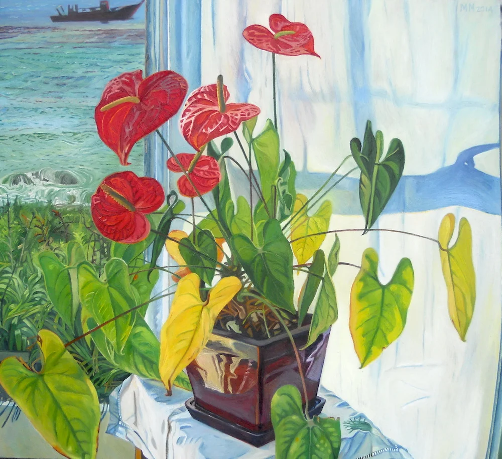 Elephant Ears at Moa Pt. 2014