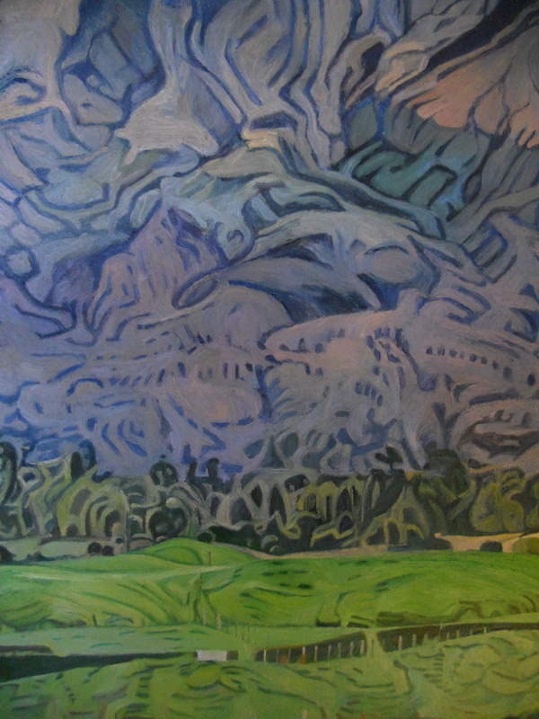 detail. Mt Taranaki no sun.