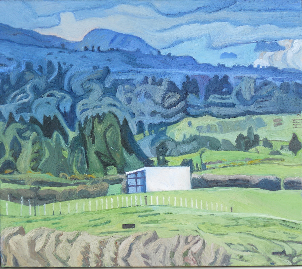 Shed on bushline of Mt taranaki.