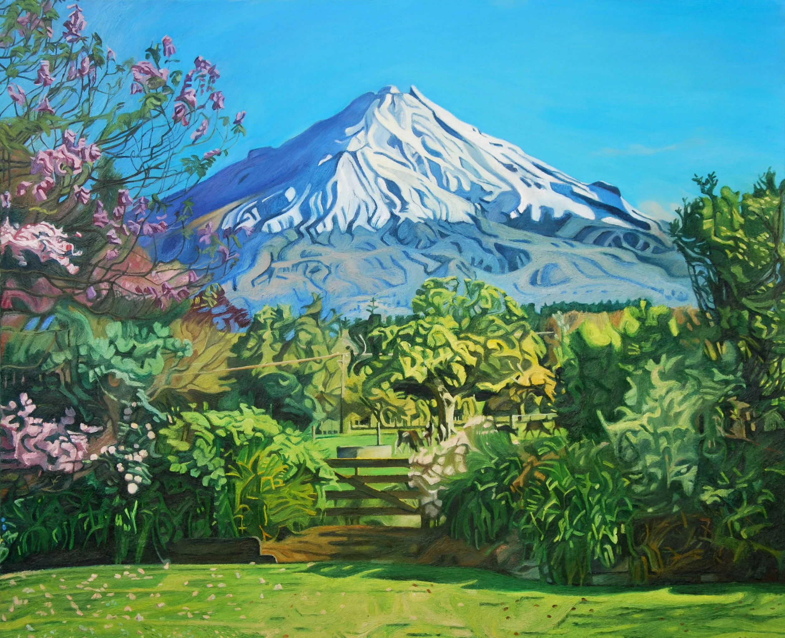 Mt Taranaki From Kapuni 2016.-17-18-19 