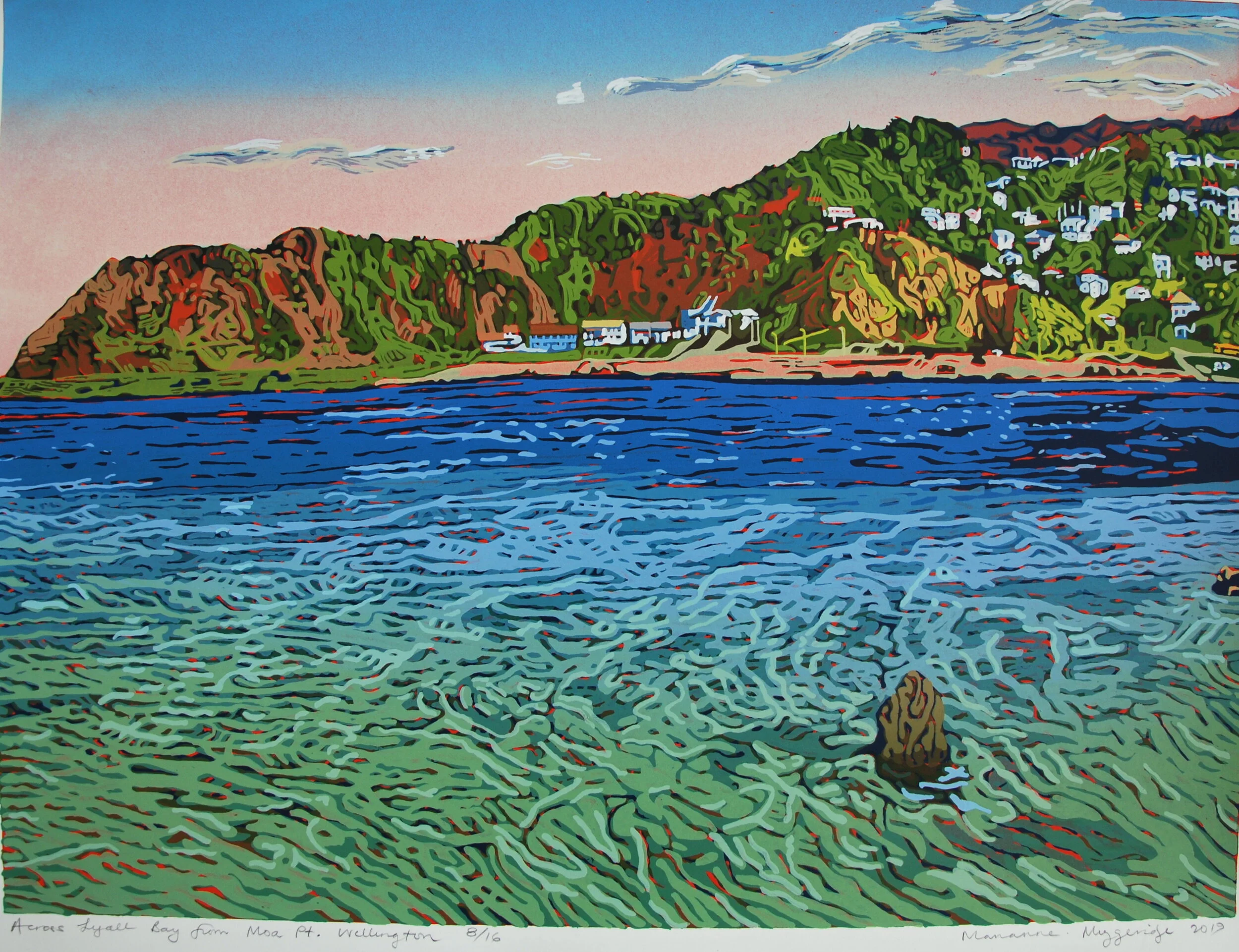 Across Lyall Bay in a Northerly from Moa Pt. 2019