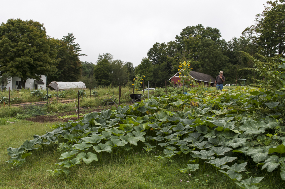 DSC_7673 web.jpg