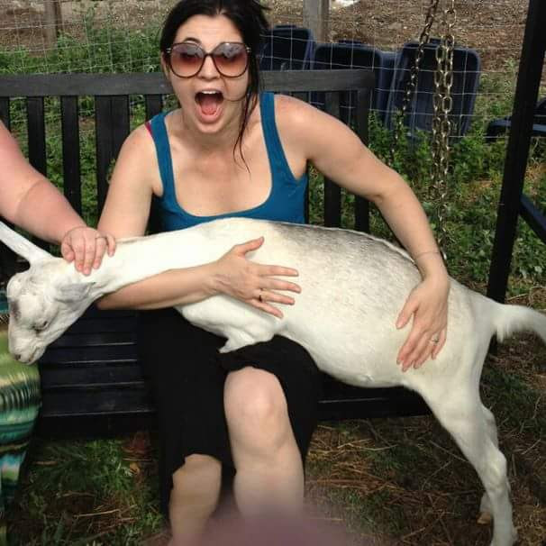 Gwen doing some goat research