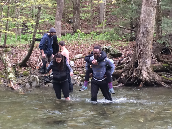 brave hedgepigs fording the rushing river!