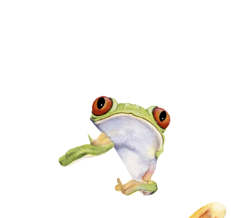 frog_cropped_clean_web.jpg