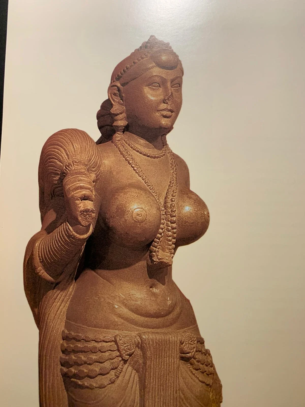 WhatsApp Image 2020-09-22 at 9.42.56 PM (1).jpeg