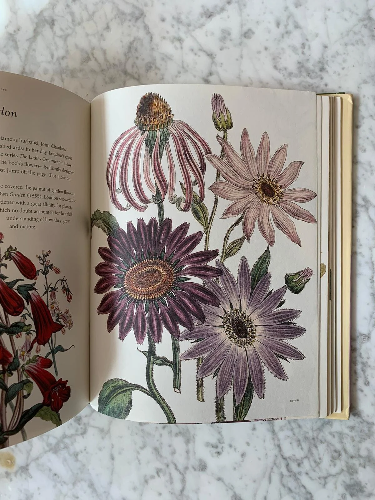 WhatsApp Image 2020-09-24 at 1.18.08 PM.jpeg