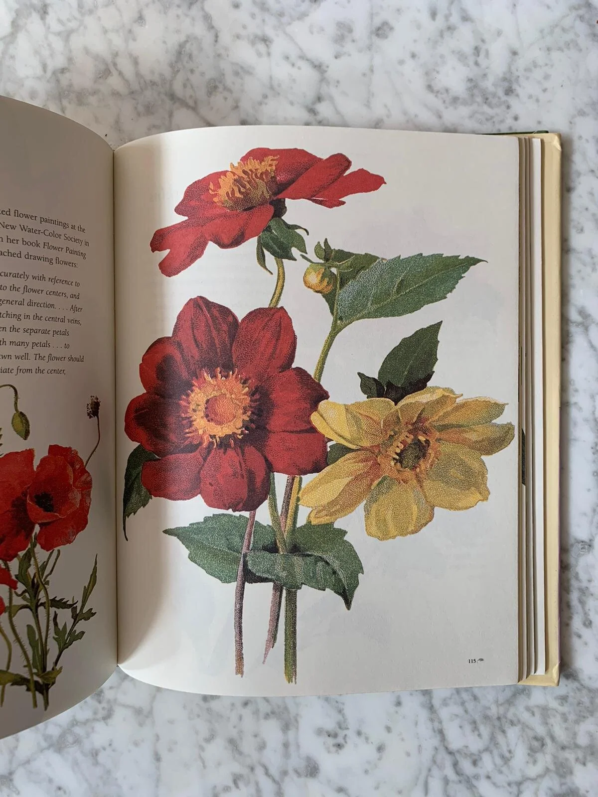 WhatsApp Image 2020-09-24 at 1.18.07 PM (1).jpeg