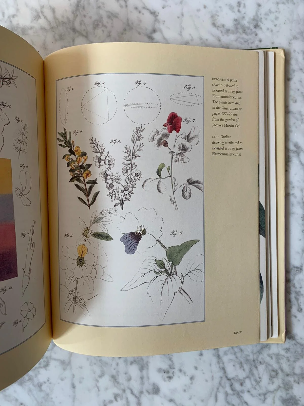 WhatsApp Image 2020-09-24 at 1.18.06 PM (1).jpeg