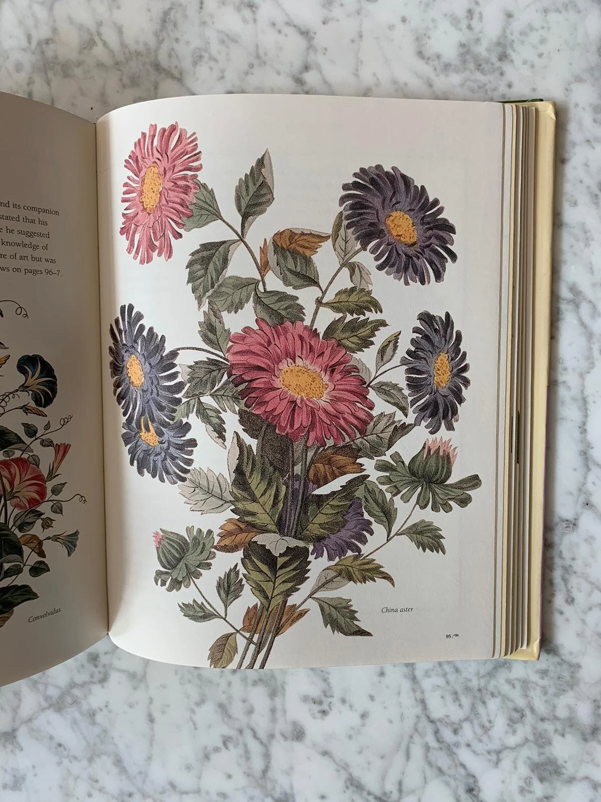 WhatsApp Image 2020-09-24 at 1.18.07 PM.jpeg